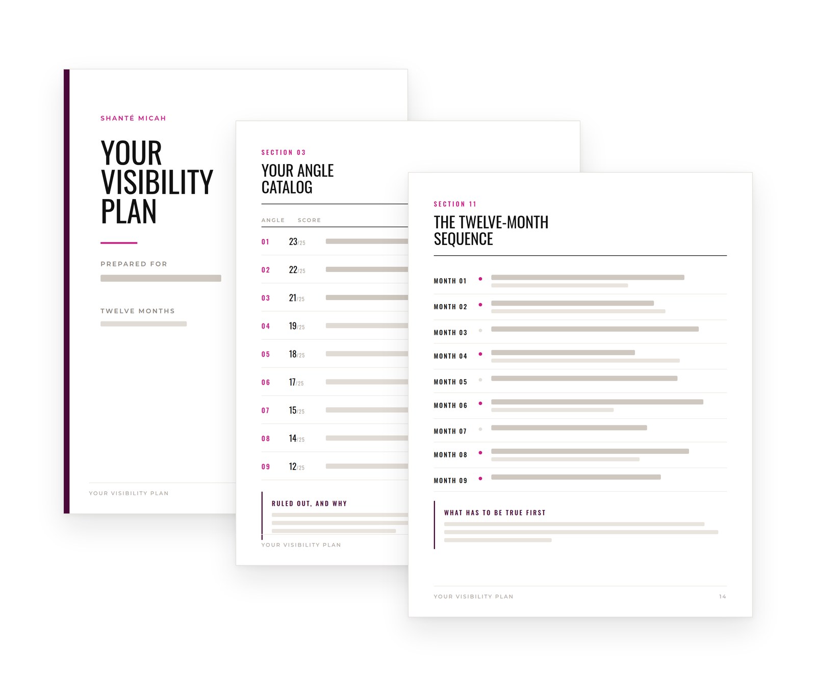 Your Visibility Plan — cover, angle catalog and twelve-month sequence